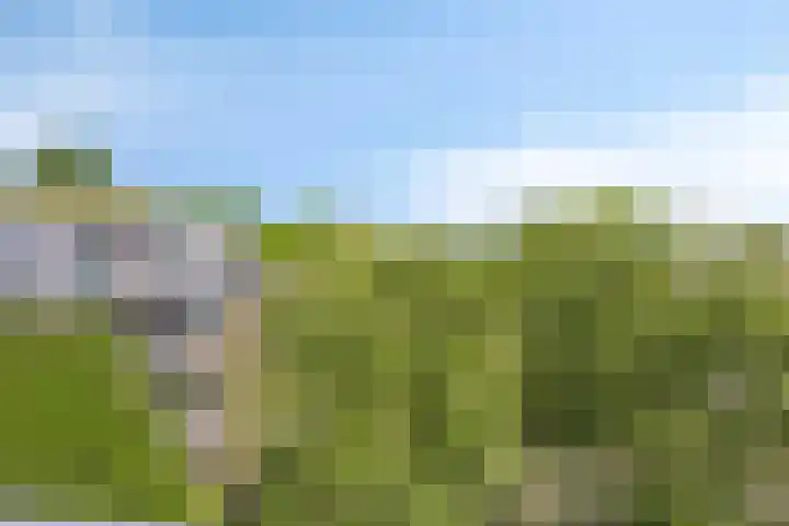 Paukenlaan 121 Dongen thumbnail 29