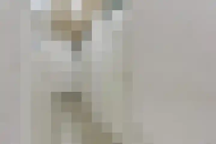 Paukenlaan 121 Dongen thumbnail 30