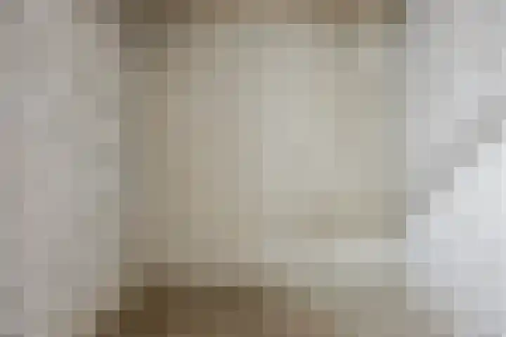 Paukenlaan 121 Dongen thumbnail 31