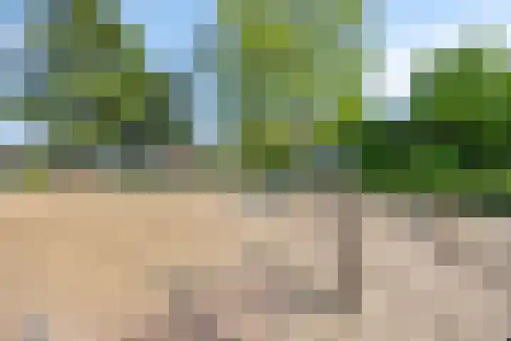 Paukenlaan 121 Dongen thumbnail 33