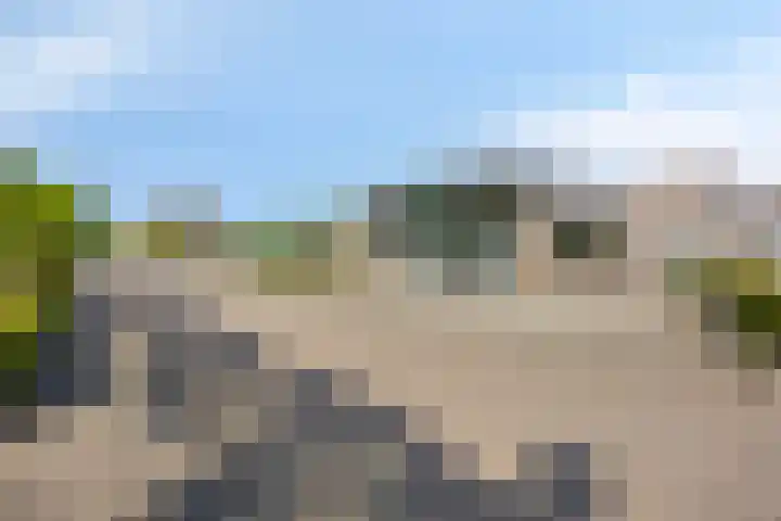Paukenlaan 121 Dongen thumbnail 35