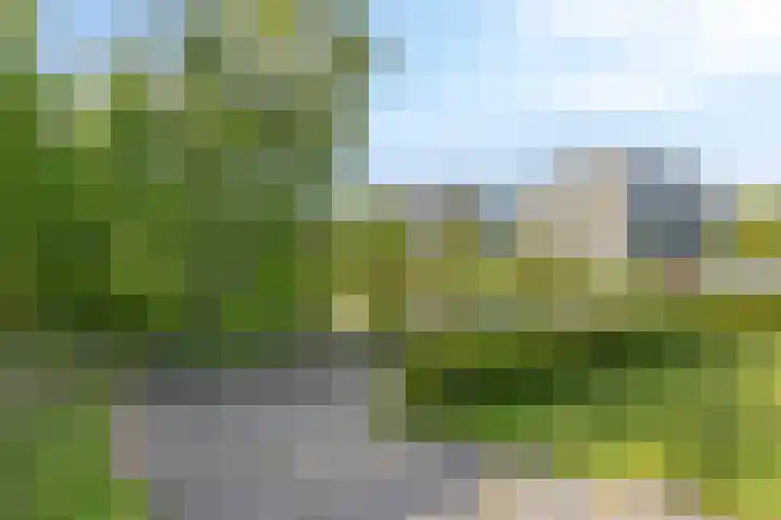 Paukenlaan 121 Dongen thumbnail 36