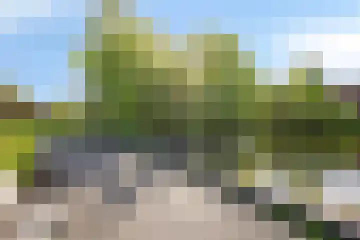 Paukenlaan 121 Dongen thumbnail 37