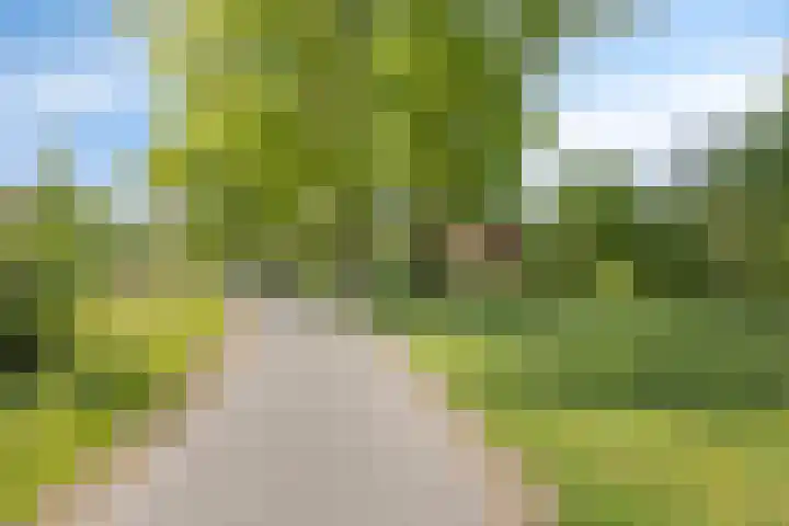 Paukenlaan 121 Dongen thumbnail 38