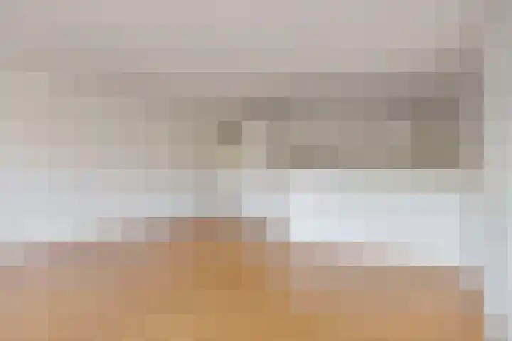 Paukenlaan 125 Dongen thumbnail 12