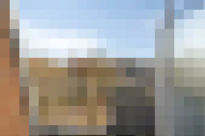 Paukenlaan 125 Dongen thumbnail 15