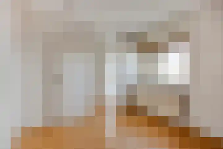 Paukenlaan 125 Dongen thumbnail 22