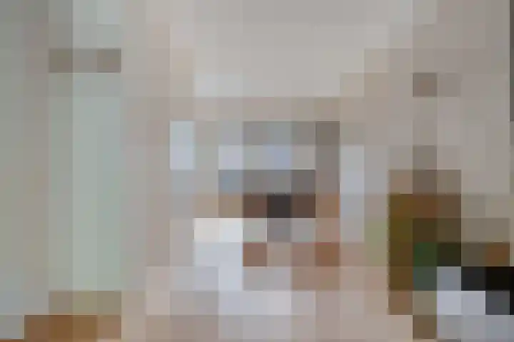 Paukenlaan 167 Dongen thumbnail 12