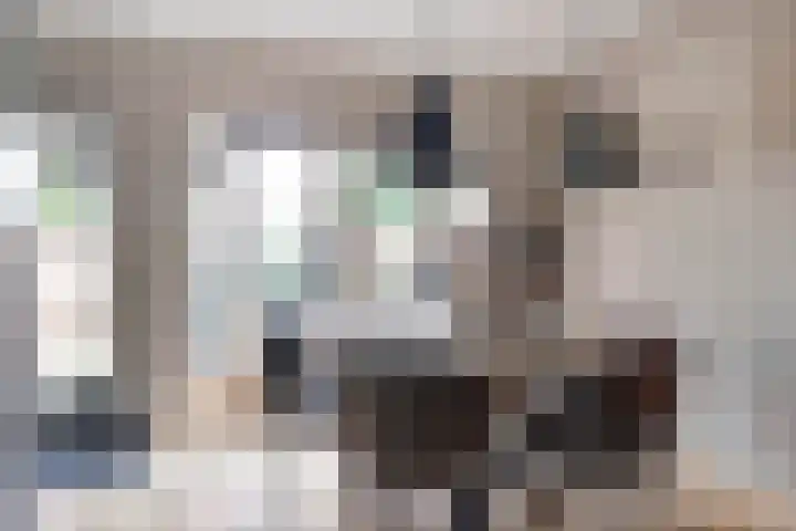 Paukenlaan 167 Dongen thumbnail 13