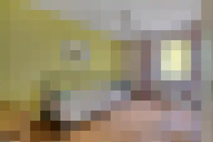 Paukenlaan 167 Dongen thumbnail 19