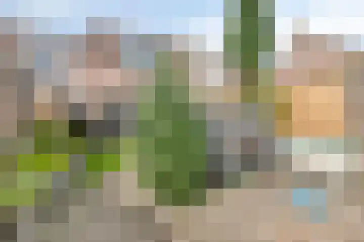 Paukenlaan 167 Dongen thumbnail 29