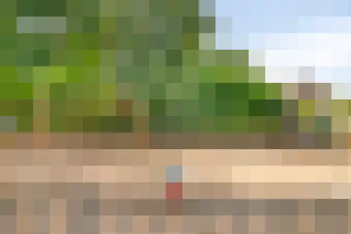 Paukenlaan 167 Dongen thumbnail 33