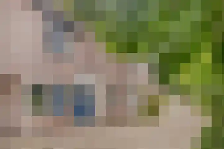Paukenlaan 167 Dongen thumbnail 8