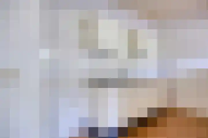 Paukenlaan 25 Dongen thumbnail 14