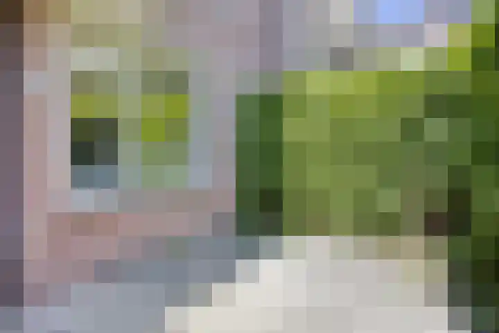 Paukenlaan 25 Dongen thumbnail 18