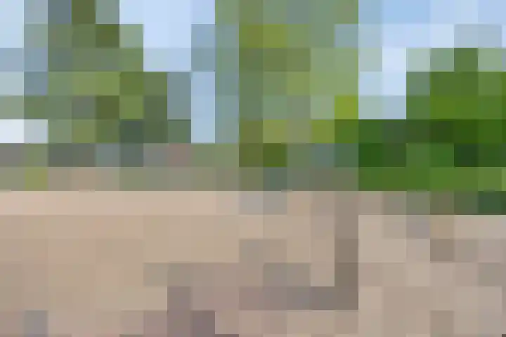 Paukenlaan 25 Dongen thumbnail 22