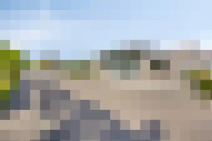 Paukenlaan 25 Dongen thumbnail 24