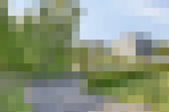 Paukenlaan 25 Dongen thumbnail 25