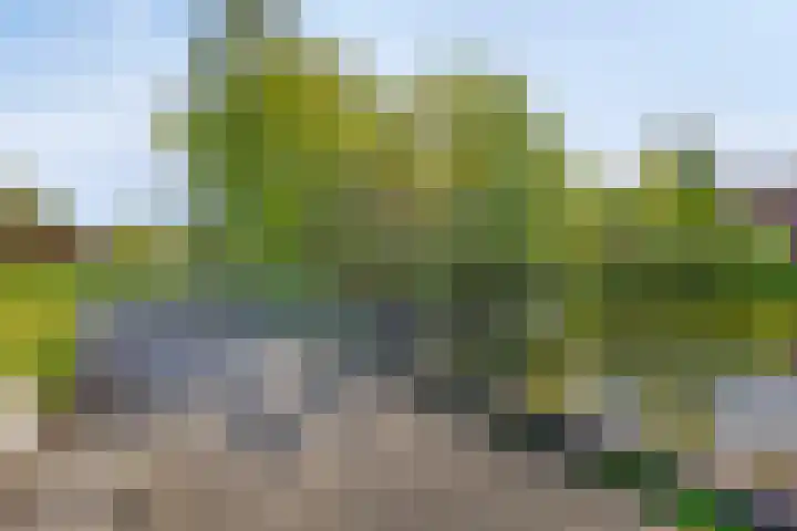 Paukenlaan 25 Dongen thumbnail 26
