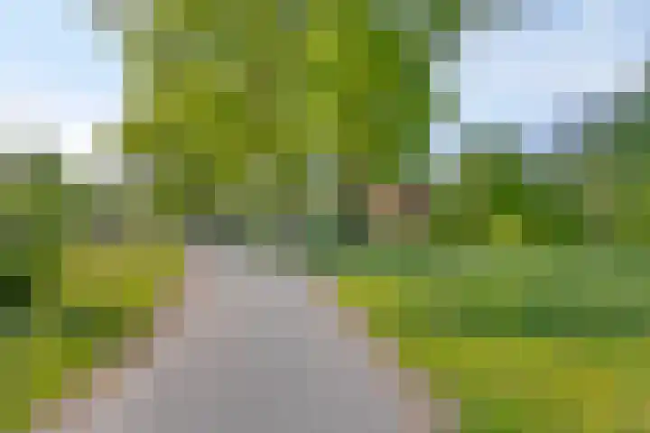 Paukenlaan 25 Dongen thumbnail 27