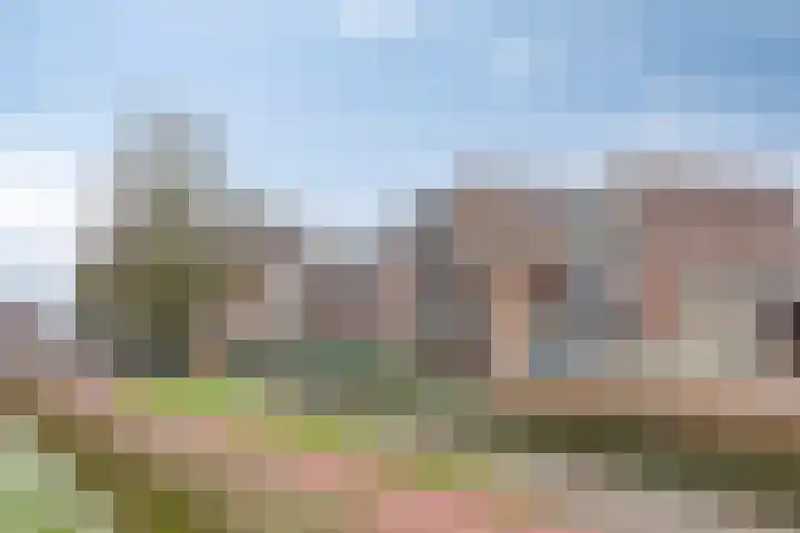 Paukenlaan 31 Dongen