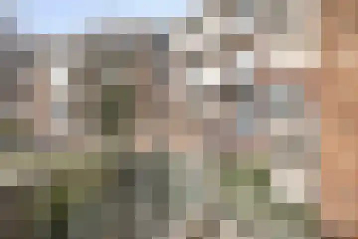 Paukenlaan 37 Dongen thumbnail 15