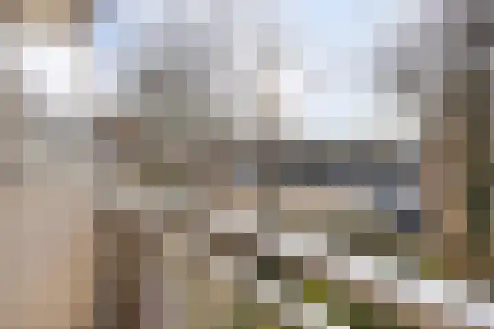 Paukenlaan 37 Dongen thumbnail 16