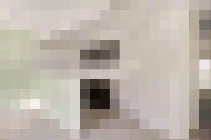 Paukenlaan 37 Dongen thumbnail 17