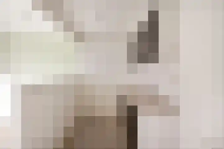 Paukenlaan 37 Dongen thumbnail 18