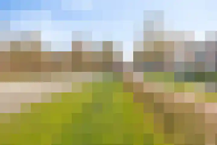 Paukenlaan 37 Dongen thumbnail 28