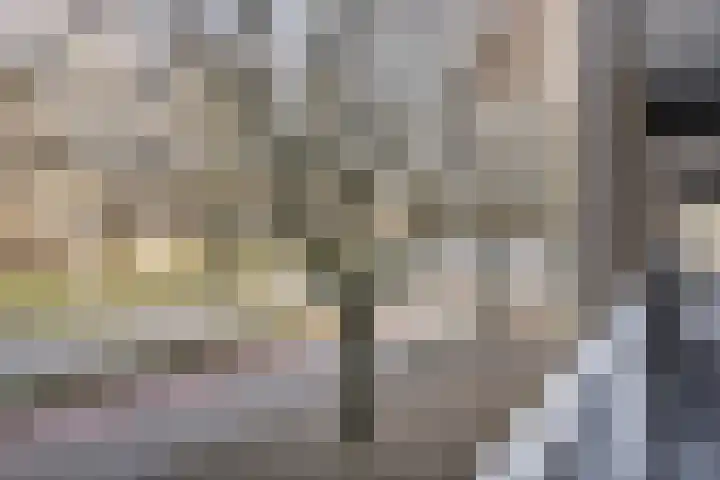 Paukenlaan 37 Dongen thumbnail 6