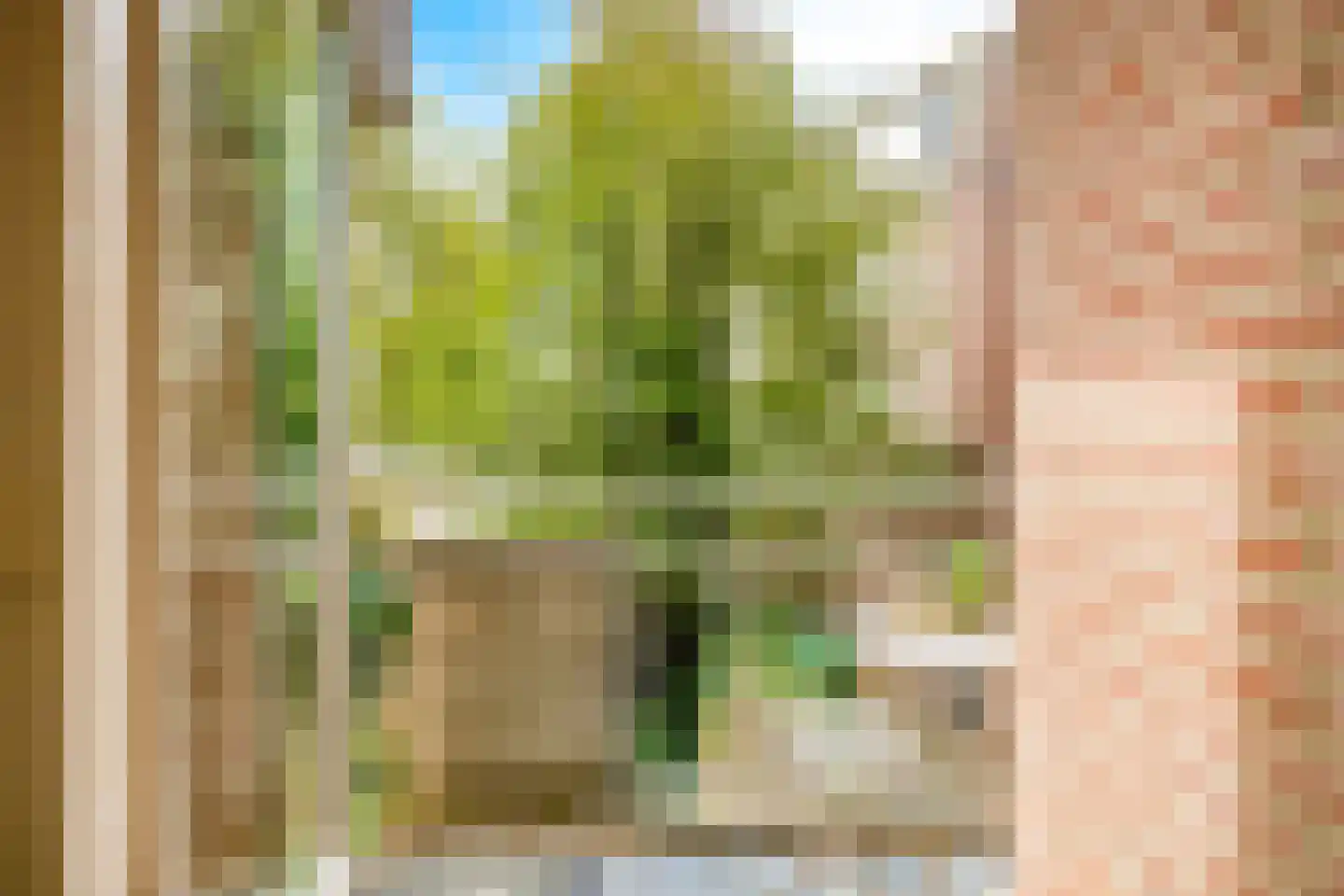 Paukenlaan 39 Dongen thumbnail 18