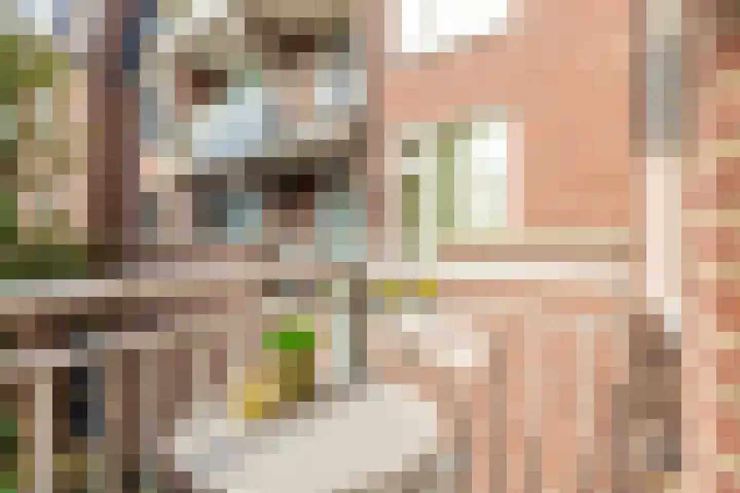 Paukenlaan 39 Dongen thumbnail 19