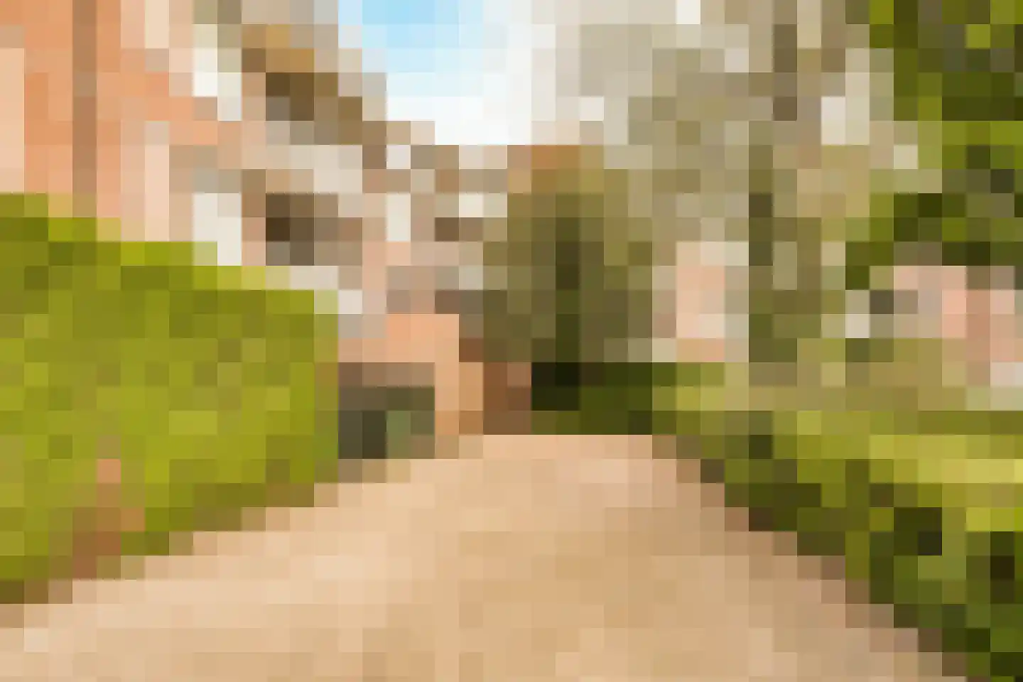 Paukenlaan 39 Dongen thumbnail 27