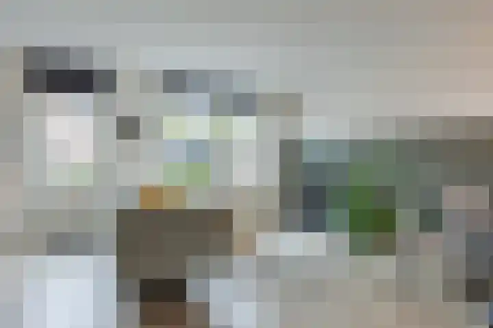 Paukenlaan 4 Dongen thumbnail 10