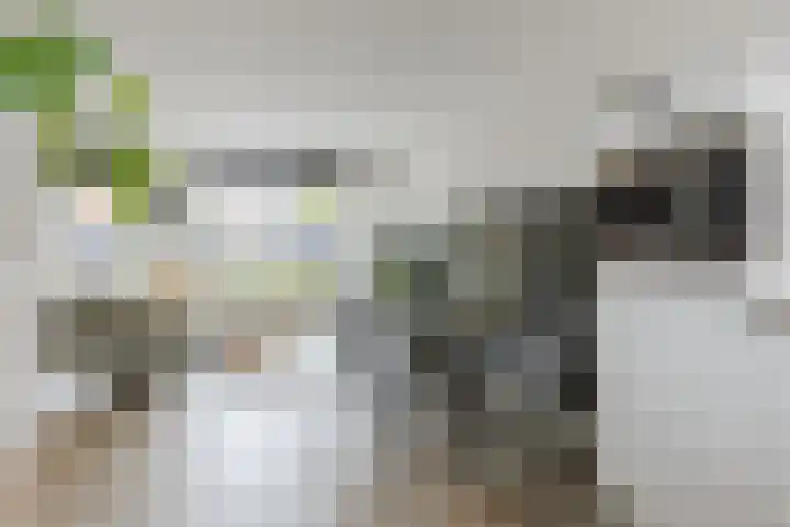 Paukenlaan 4 Dongen thumbnail 11