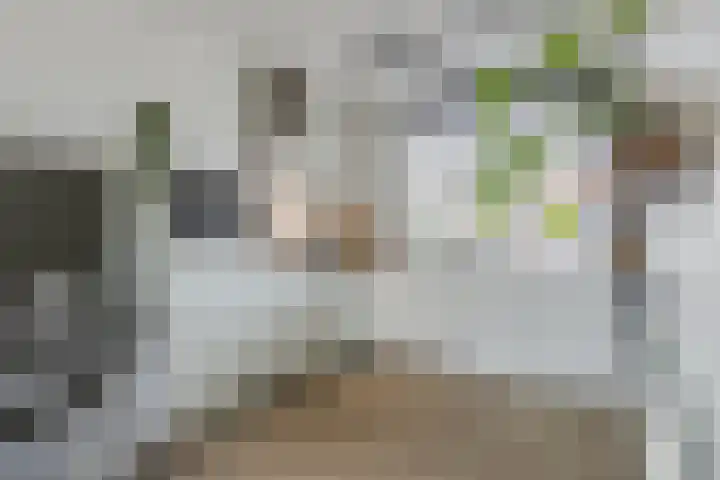 Paukenlaan 4 Dongen thumbnail 12