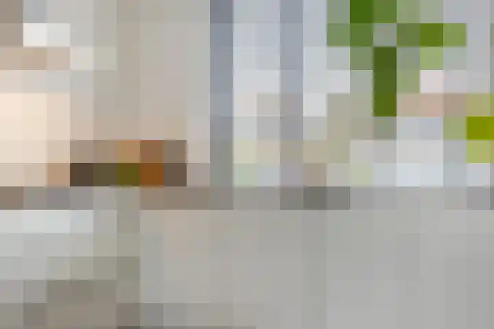 Paukenlaan 4 Dongen thumbnail 13