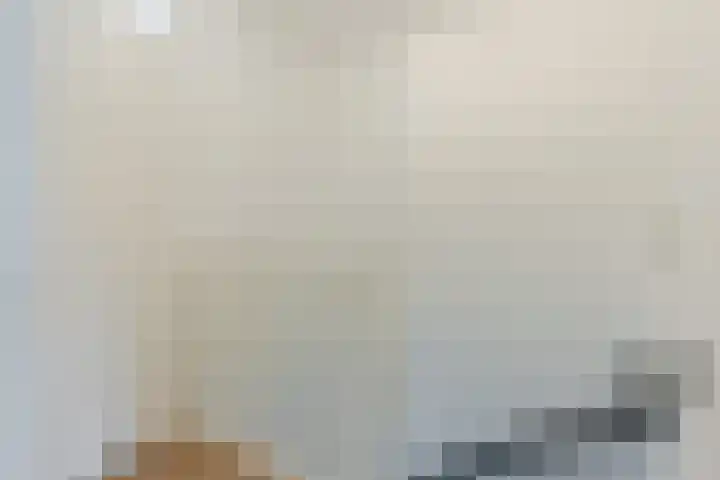 Paukenlaan 4 Dongen thumbnail 16