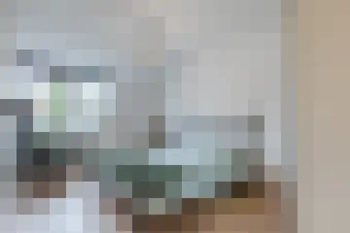 Paukenlaan 4 Dongen thumbnail 18