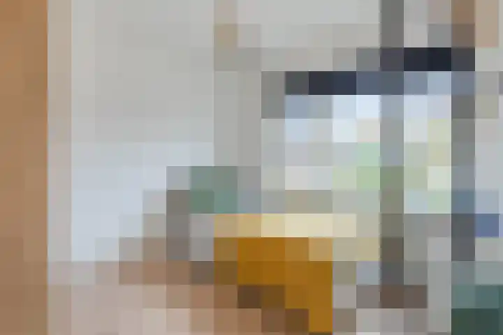 Paukenlaan 4 Dongen thumbnail 20