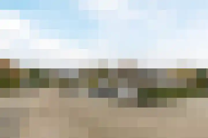 Paukenlaan 4 Dongen thumbnail 25