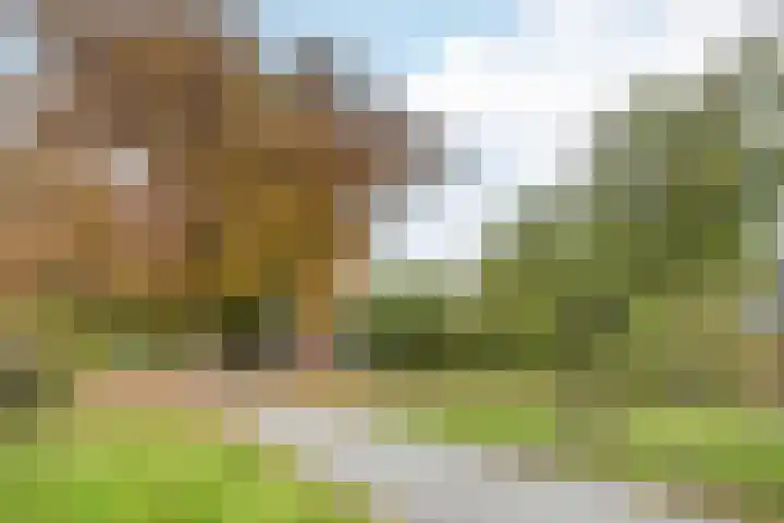 Paukenlaan 4 Dongen thumbnail 27