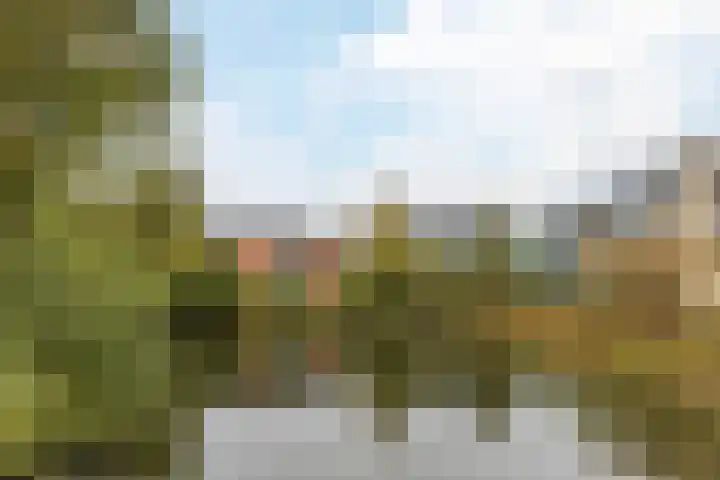 Paukenlaan 4 Dongen thumbnail 28