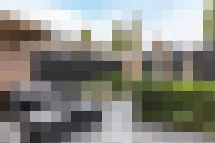 Paukenlaan 4 Dongen thumbnail 4