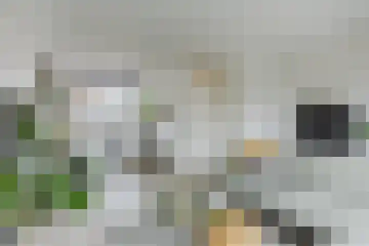 Paukenlaan 4 Dongen thumbnail 8