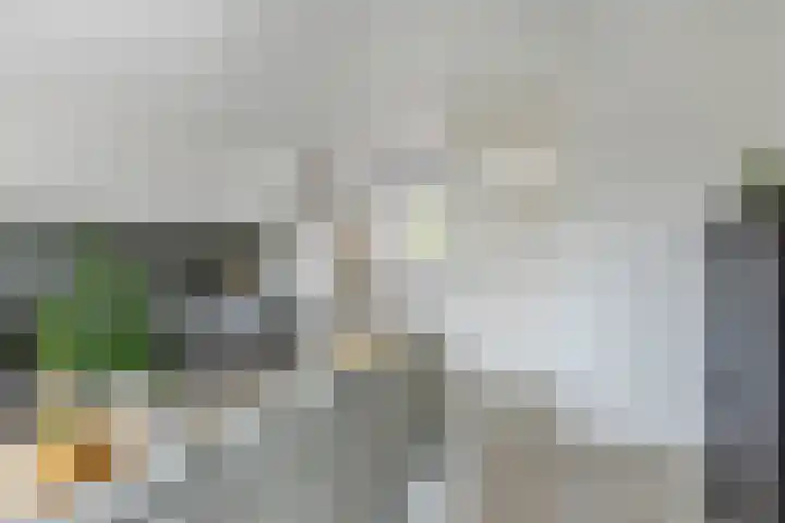 Paukenlaan 4 Dongen thumbnail 9