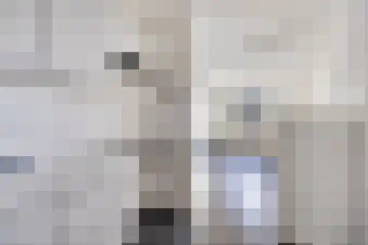 Paukenlaan 43 Dongen thumbnail 13