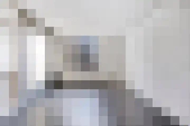 Paukenlaan 43 Dongen thumbnail 8