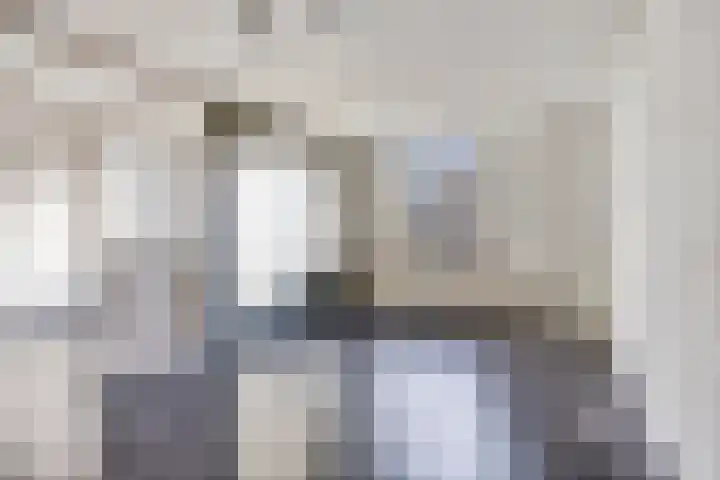 Paukenlaan 43 Dongen thumbnail 9